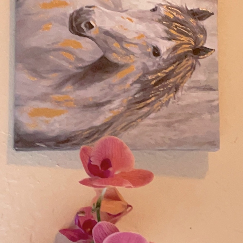 Canvas wall art